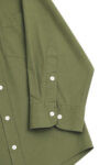 OLIVE-Model-F